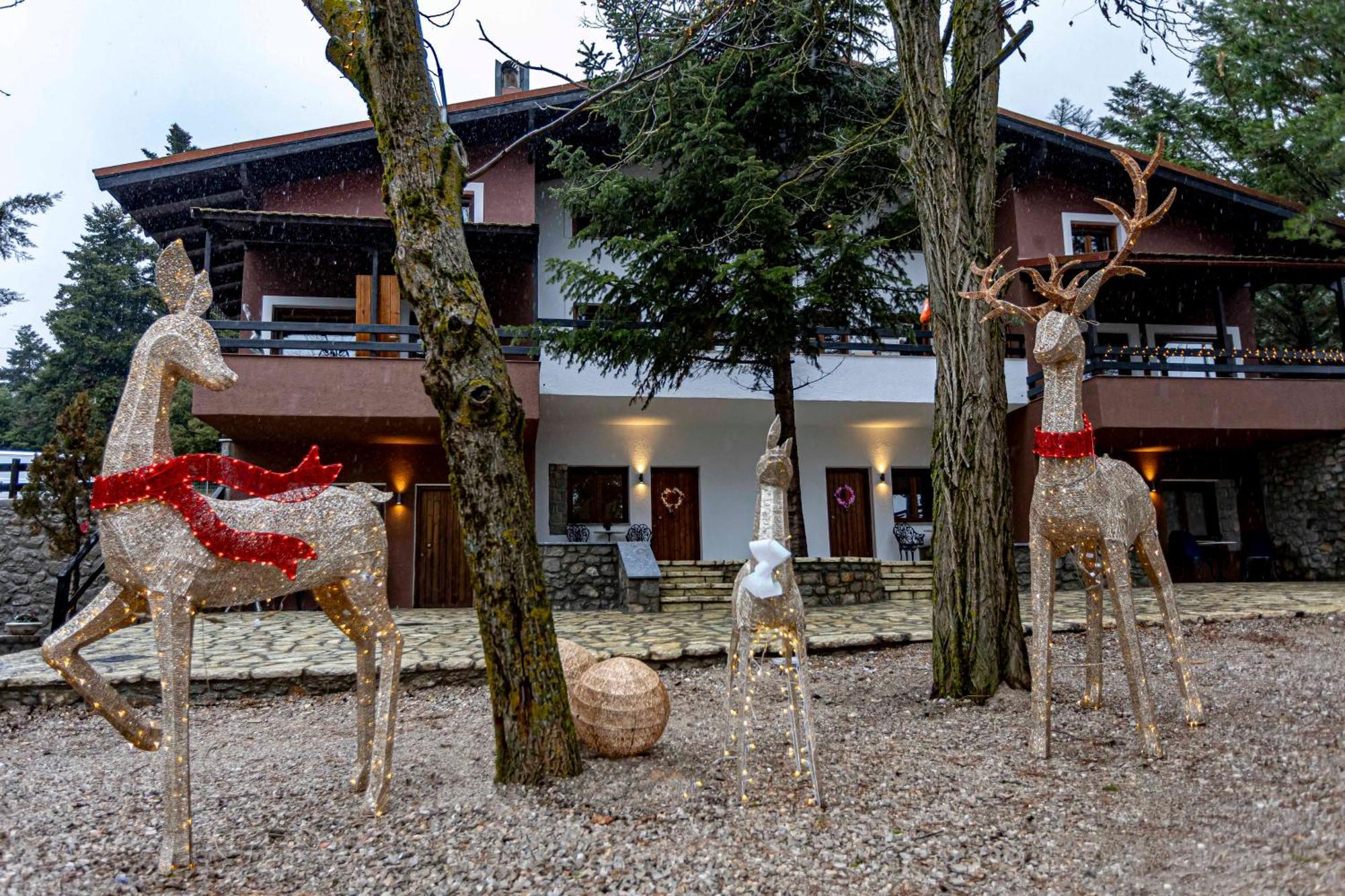 Hotel Mz Reindeer Kalívia Exteriér fotografie