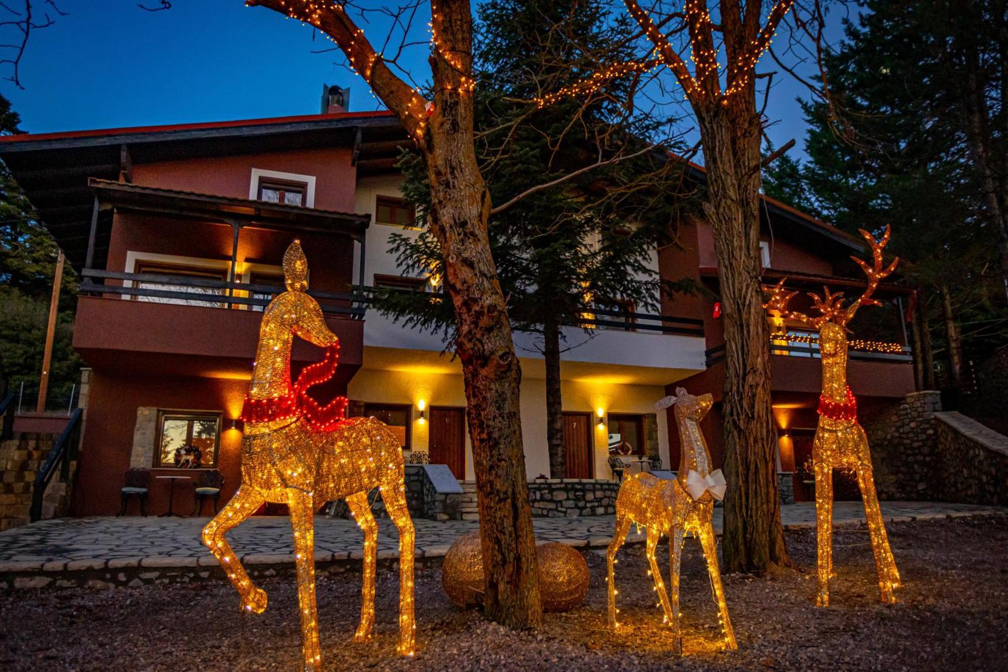 Hotel Mz Reindeer Kalívia Exteriér fotografie