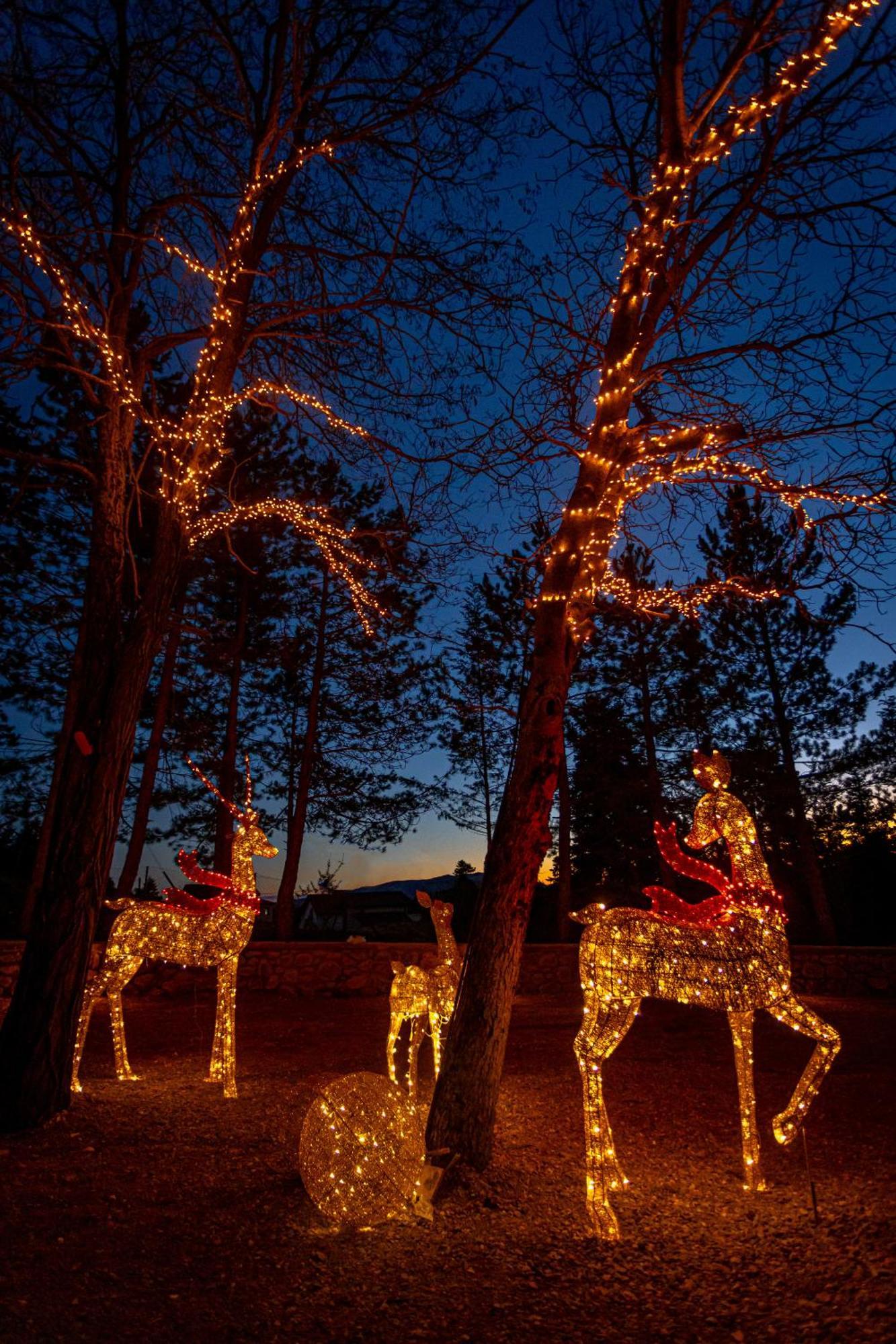 Hotel Mz Reindeer Kalívia Exteriér fotografie