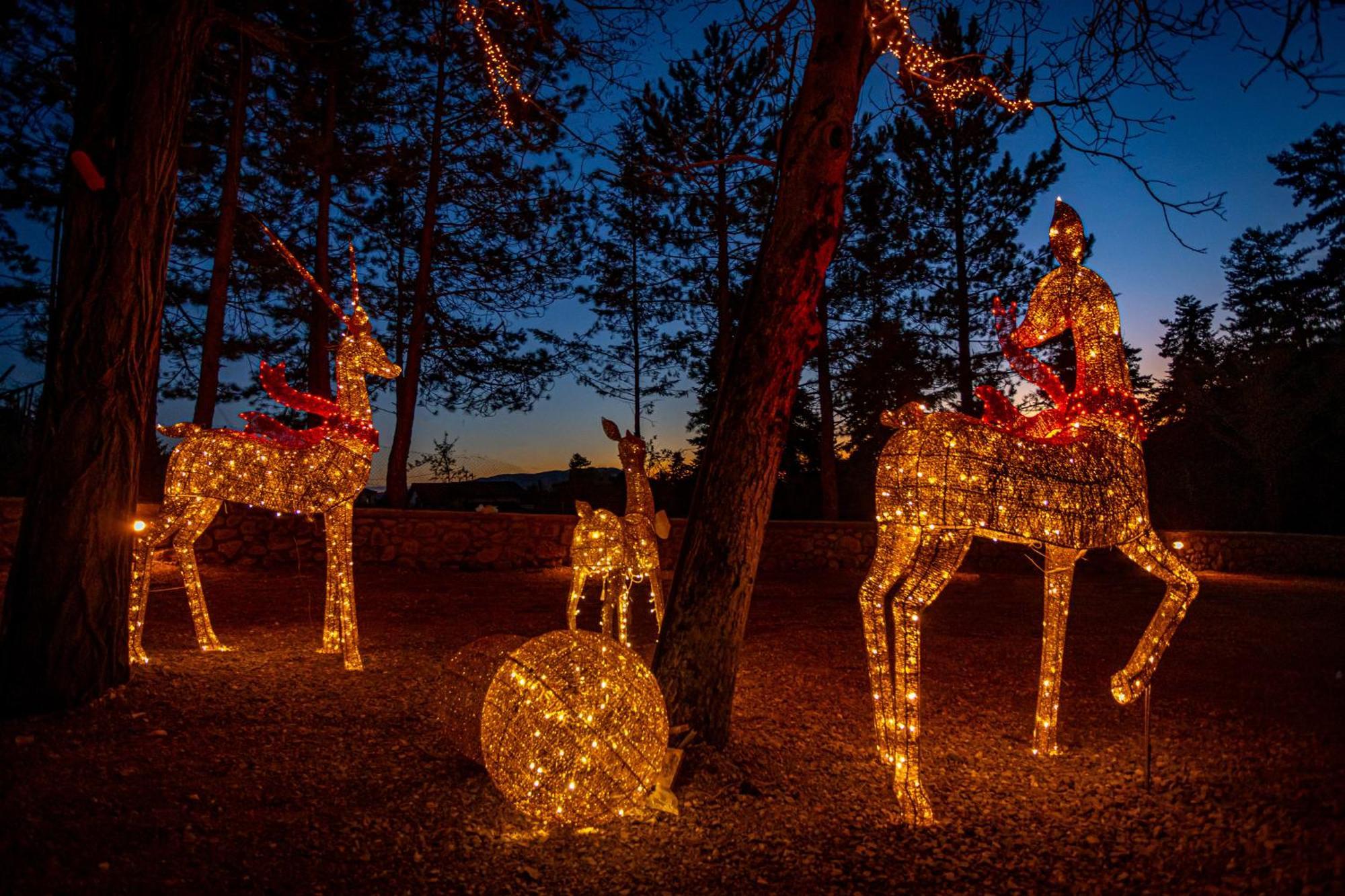 Hotel Mz Reindeer Kalívia Exteriér fotografie